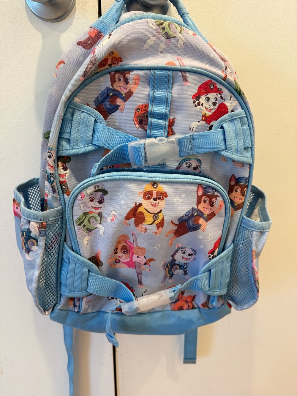 Paw Patrol Light Blue Printed Kids Backpack with Character Pockets